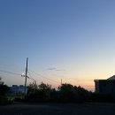 [운동#52]나의 첫 수영원정 제주 동부국민체육센터 새벽 자유수영 후기 (코오롱스포렉스 제주동부점)
