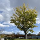 (주)또하나의가족 전남센터 | 순천만 국가정원 모노레일 전남 순천 가을 국내여행