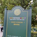 크레이지 더 코인 | USJ 동키콩 컨트리 크레이지 트램카 오픈 1주년 축하합니다