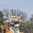 동물원 | 서울대공원 동물원 후기