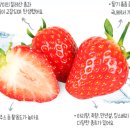 아리향식품 이미지