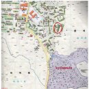 그린 (212) 이미지