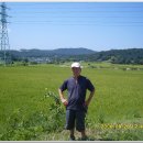 정일농장 이미지