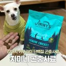 소형견 강아지사료추천 지미니 귀뚜라미 단백질 곤충사료 급여 후기