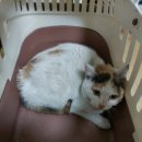 소가담한의원 이미지