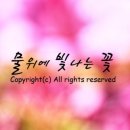 사계절 장독대 이미지