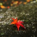 아발론(AVALON) 이미지