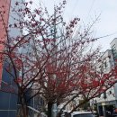 청운가마솥손두부 이미지