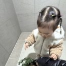 [10/25]가드닝 클래스 | 순천 신선가드닝 화분 분양 후기 / 데려오자마자 업로드하는 초보 식물 집사