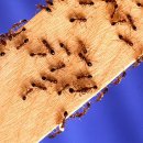 국제재가복지센터 이미지