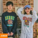 J2655 이미지