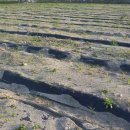 로타리슈퍼 이미지