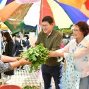 담양시장 이미지