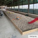 준우농장 | 울산 울주군 동물 체험학습 하늘목장 디테일한 상세후기 아이랑 가볼만한 곳 동물 먹이체험학습