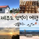 [제주도] 혼자 뚜벅이 여행! 총경비 15만원/2박 3일/항공편/조용한게스트하우스/외도동/애월-2일차