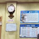 청룡호선장네집 | [속초 맛집] 속초 현지인 맛집 추천! 뽈찜 존맛 청룡호선장네집 내돈내산 후기