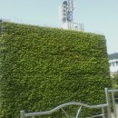 종고초등학교 이미지