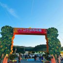 (주) 엠에스토피아 | 2024 전남 고흥유자축제 기본 정보 연예인 라인업 막삼파티 유자토피아