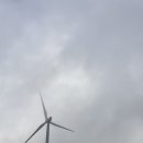 아곡농장 | 평창 가볼만한곳 추천 대관령 양떼목장!