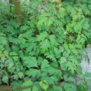 삼대생활건강 이미지