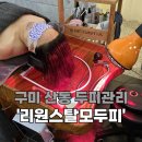 리원스탈모두피클리닉센터