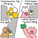 에버투어 이미지