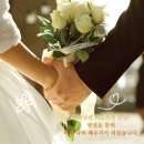 (주)벧엘 | 벧엘을 통해서 평생의 반려자를 만났습니다.(성혼 후기)