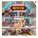 쁘띠엘린 롯데백화점 노원점