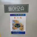 천안 타로 카페 &#34;카페 오슈오&#34; 감동의 후기