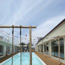 할로하우디(HALO HOWDY) 이미지