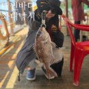 대원돈 | [태안 좌대낚시] 초보자도 손맛 보장! 입어식 낚시터 '대원바다좌대낚시' 리얼 후기