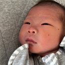 개밥에 도토리가 뭐예요? 이미지