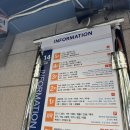 부산자유시장에서 꽃사서 셀프부케 만들기