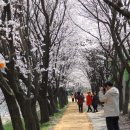 황구지천 이미지