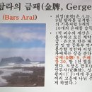 고려 정씨 열녀비 이미지