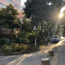181028 星期天 同里古镇秋游 동리 가을 소풍