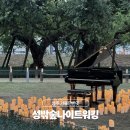 성주 경산리 성밖숲 | 대구 근교 성주 가볼만한곳 성밖숲 나이트워킹 밤밤페스타 후기