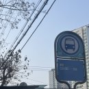 오쓰헤어 | [대구/수성구] 1 대 1 대구 최초 룸 형식 프라이빗 미용실 " 오쓰 헤어 " ㅣㅣ 다희 디렉터 후기