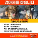 죽포보건진료소 이미지