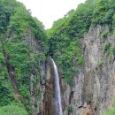 현 소프트 이미지