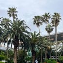 세화환승정류장 이미지