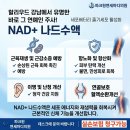 더나드 | 여의도 더현대 나드주사 가격 / 실비 / 후기 / 효과 강남주사 나드주사 NAD+ 실비적용도 된다는데 어떤...
