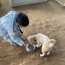 작은동물원 이미지