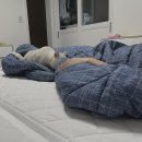 털뭉치이발소 | 𝙰𝚞𝚝𝚞𝚖𝚗 𝚌𝚑𝚊𝚗𝚐𝚎𝚍 𝚠𝚒𝚗𝚝𝚎𝚛☃︎