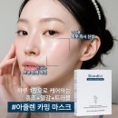 딕트