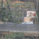 병호농장 이미지