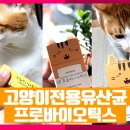 냥과함개 이미지