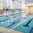 에프스포렉스 이미지