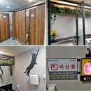 토당문화플랫폼 공감1904 | 아름다운 화장실 수상 옛 능곡역 토당문화플랫폼 성탄 분위기 가득
