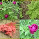 우면산5-13 이미지